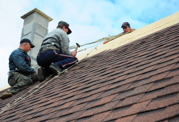 Best New Roof Installation  in Manitou Springs, CO